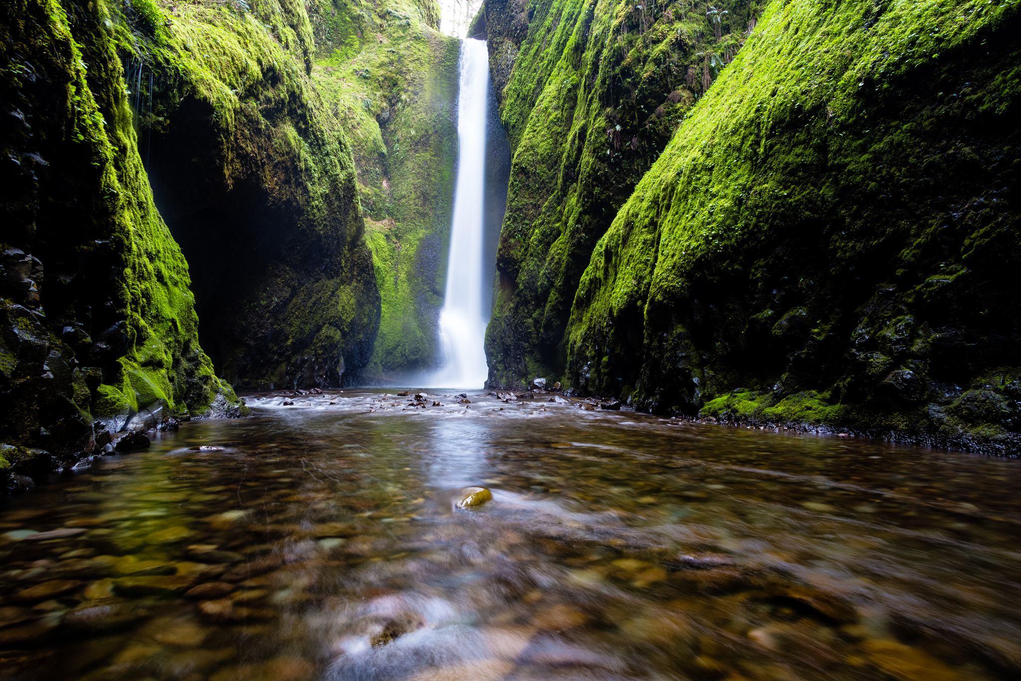 Civilización y naturaleza